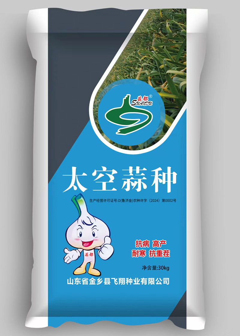 大蒜種子批發